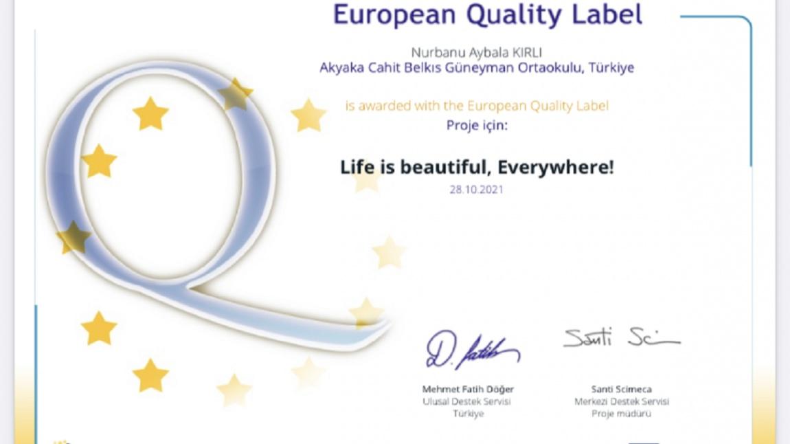 İngilizce öğretmenimiz, Nurbanu Aybala Kırlı  Life is Beautiful  adlı  etwinning projesinde    Avrupa etiketi almıştır. 